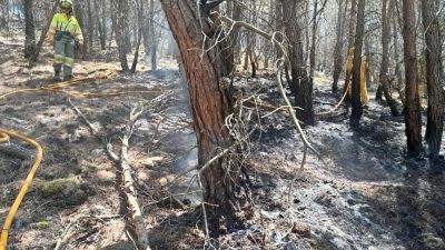 Incendio de Ateca y sus localidades aledañas. / Gobierno de Aragón.