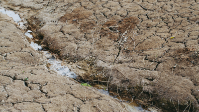 La sequía provoca la cancelación de actividades en Aragón. / Unsplash