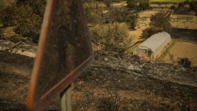 Invernadero cercano a Añón de Moncayo el pasado martes 16 de agosto./ Toni Galán