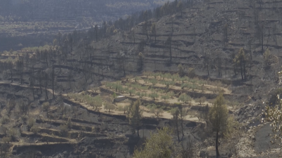 El incendio ya no tiene frentes activos.