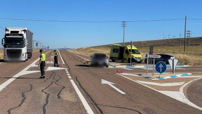 El atropello ha ocurrido en el punto kilométrico 165,500 de la N-234. / Guardia Civil