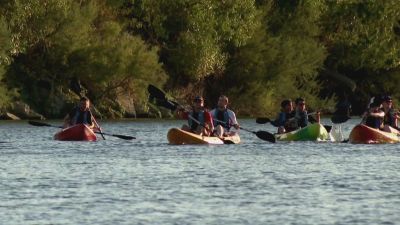 Varias personas practican kayak en el río Ebro a su paso por Zaragoza. / CARTV