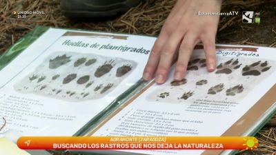 Seguimos el rastro