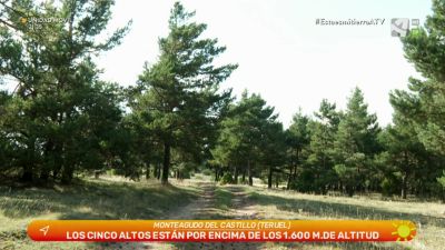 Ruta de altura