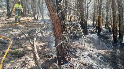 Incendio de Ateca./ Gobierno de Aragón.