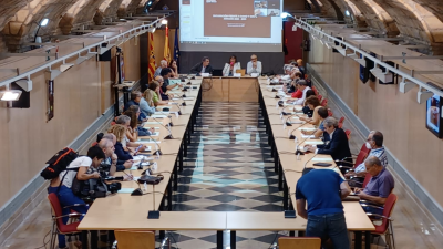 Reunión del pleno del Consejo de Salud de Aragón. / Gobierno de Aragón