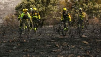 Imagen de archivo del incendio declarado en Añón de Moncayo. / Infoar