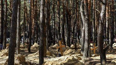 Tumbas exhumadas en el cementerio de Izyum, en la región ucraniana de Kharkiv. (EFE/EPA/Oleg Petrasyuk).