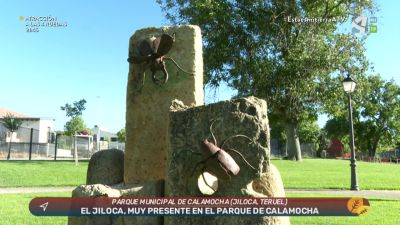 Este es tu parque: Calamocha