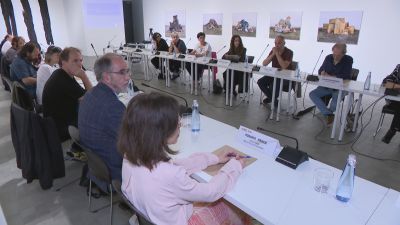 Reunión del sector cultural aragonés
