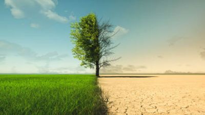 La 'Aragón Climate Week' se celebrará del 18 al 24 de octubre. / iStock