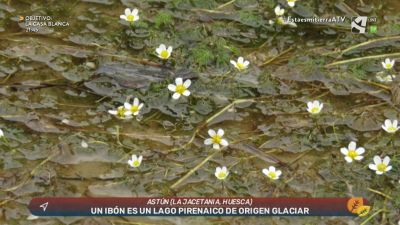 Ibones pirenaicos