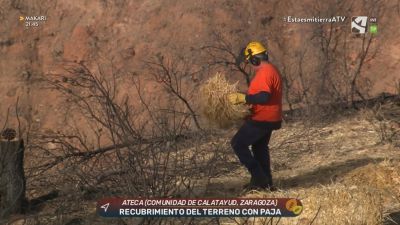 Restauración tras los incendios (I)
