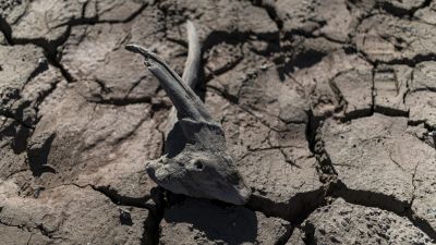 Lecho de un pantano, seco por el calor. / Lorena Sopêna / Europa Press