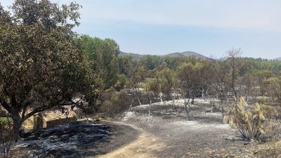 Imagen del incendio que afectó el verano pasado a la Comarca de Calatayud. / Europa Press.