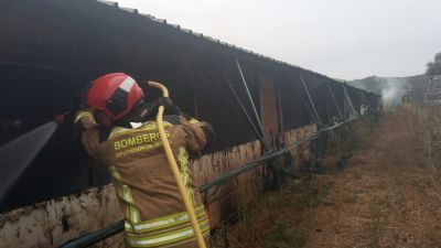 Los Bomberos de la Diputación de Teruel en la granja incendiada./ Diputación de Teruel.