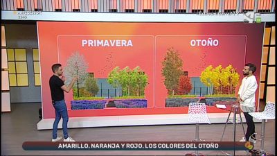 Diseños de otoño