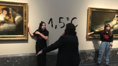 Los cuadros no han sufrido daños, mientras que los marcos presentan ligeros desperfectos (EP/Futuro Vegetal)
