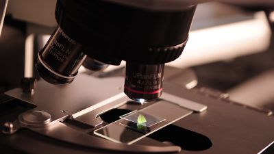 La Semana de la Ciencia se celebra desde el 7 al 20 de noviembre. / Pexels.