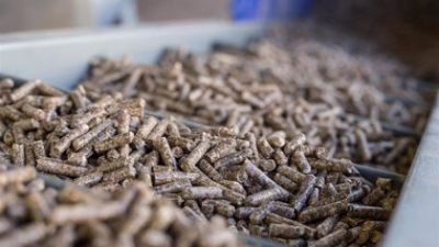 España produce 900.000 toneladas de pellet este año. / Europa Press