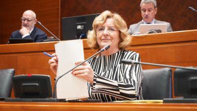 La consejera de Ciudadanía del Gobierno de Aragón, María Victoria Broto. / Cortes de Aragón