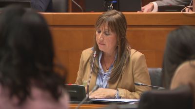 La consejera de Sanidad, Sira Repollés, durante el desglose del presupuesto en las Cortes.
