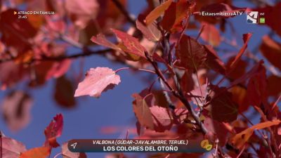 Los colores del otoño