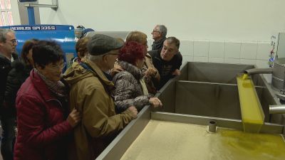 Visita a una de las almazaras de Belchite.