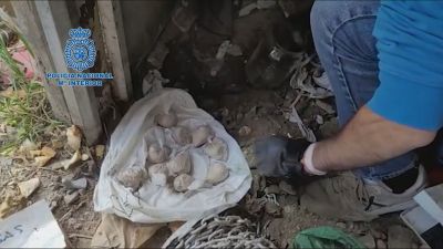 Parte de la droga estaba enterrada en una una parcela anexa a uno de los puntos de venta. / Policía Nacional