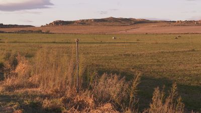 Terrenos de Alcañiz.