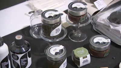 Trufa negra a la venta en Fitruf.