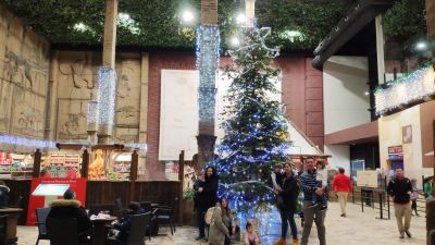 Los visitantes de Dinópolis han podido disfrutar de su decoración navideña. | Dinópolis