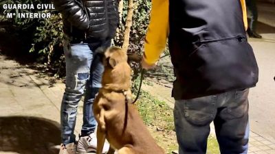 Agente canino detectando sustancias estupefacientes. / Guardia Civil.