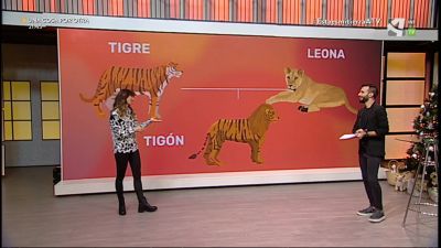 Hibridación de animales