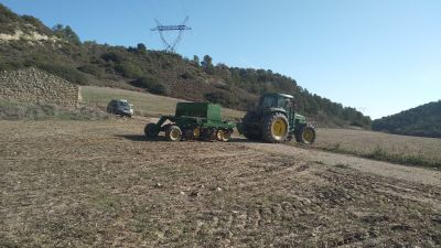 Siembra de trigo en los montes de Zuera (Zaragoza). / Foto: Isabel Mateo.
