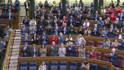 Reacción de la cámara tras la votación.