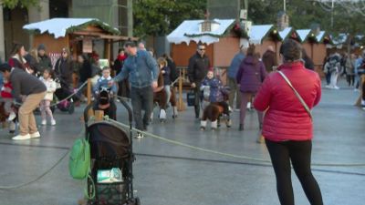 Actividades en la Plaza del Pilar de Zaragoza.