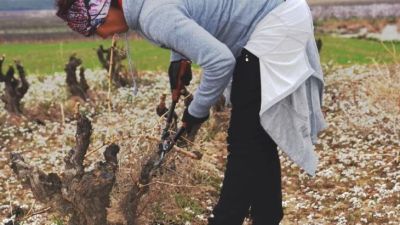 Imagen de una joven agricultora. / Gobierno de Aragón