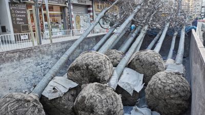 Ya han finalizado las obras de pavimentación de la calle y se trabaja en dar forma a las nuevas zonas verdes. / Europa Press