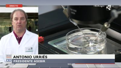 Anticonceptivo masculino (I)