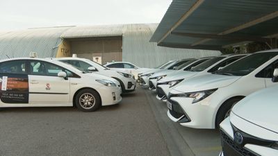 El sector del taxi sufre complicaciones para renovar su flota de vehículos.
