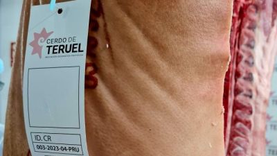Este miércoles se ha presentado también el logotipo de la nueva IGP Cerdo de Teruel. / Gobierno de Aragón.
