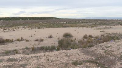 La compañía ha adquirido una parcela de casi 38.000 m2.