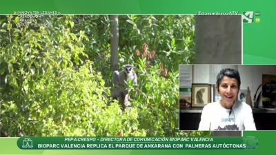 Conservación de especies en peligro de extinción