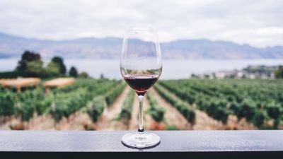 La fiesta del Vino DO buscar dar más visibilidad al sector. / Canva