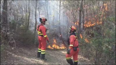 El incendio ha afectado ya a más de 8.500 hectáreas.