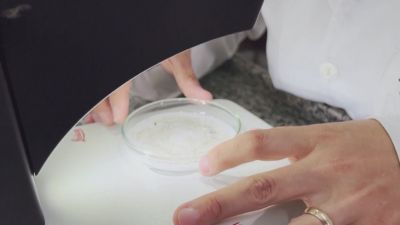 Uno de los científicos participantes analiza una muestra de agua con microplásticos.