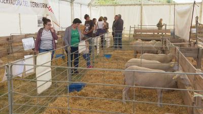 60 expositores se dan cita en Expoforga.