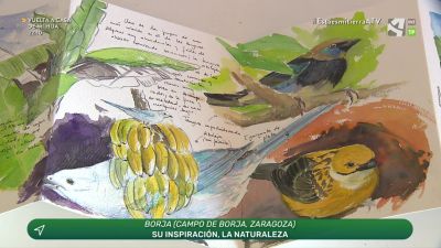 Ilustradora de Naturaleza