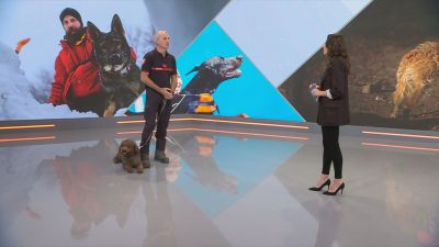 Florencio Pascual, coordinador de la Unidad de Guías Caninos de Bomberos de la DPZ, y su perro Luqui, este lunes en el plató de Buenos Días, de Aragón TV.
